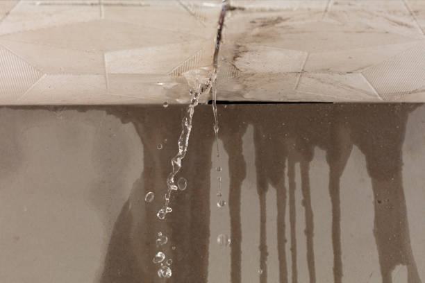 Professional Structural Drying technician working in Maywood, NJ
